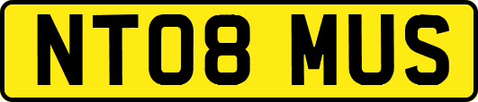NT08MUS