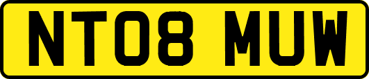 NT08MUW