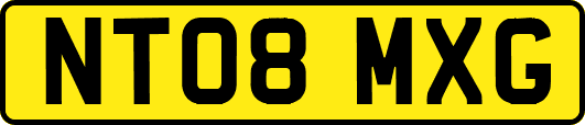 NT08MXG