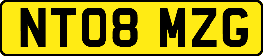 NT08MZG