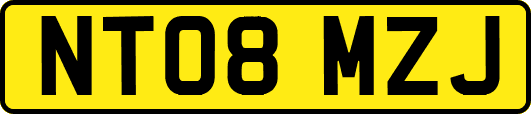 NT08MZJ