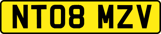 NT08MZV