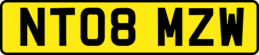 NT08MZW