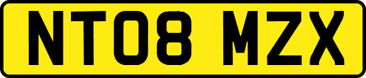 NT08MZX