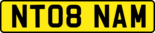 NT08NAM