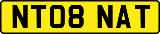 NT08NAT