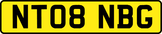 NT08NBG