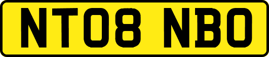 NT08NBO