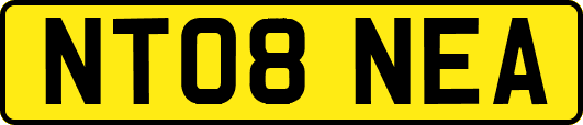 NT08NEA