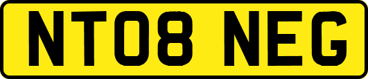 NT08NEG