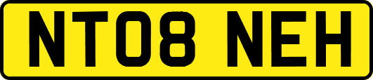 NT08NEH