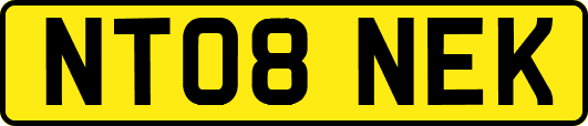 NT08NEK