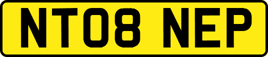 NT08NEP