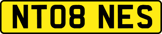 NT08NES