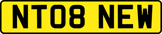 NT08NEW