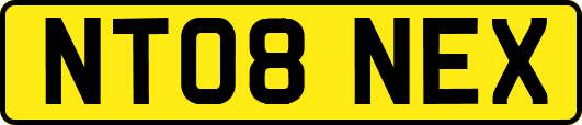 NT08NEX