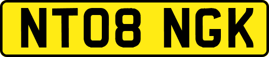 NT08NGK