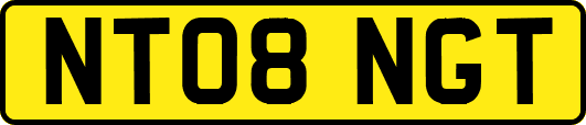 NT08NGT