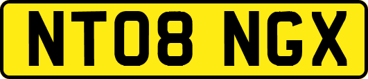 NT08NGX
