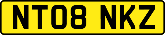 NT08NKZ