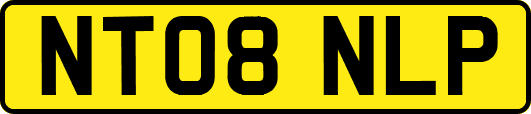 NT08NLP