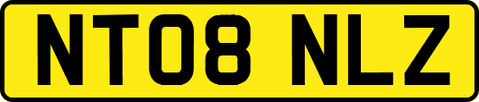 NT08NLZ
