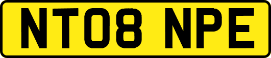 NT08NPE