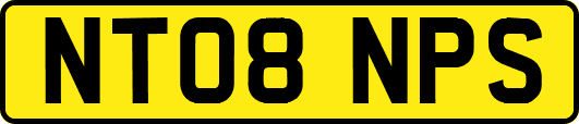 NT08NPS