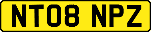 NT08NPZ