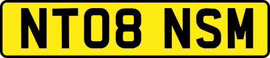 NT08NSM