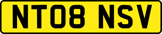 NT08NSV