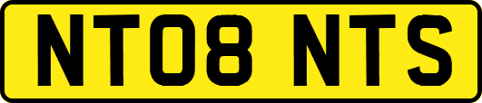 NT08NTS