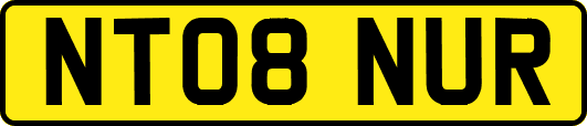 NT08NUR