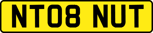 NT08NUT