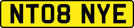 NT08NYE