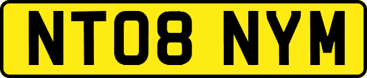 NT08NYM
