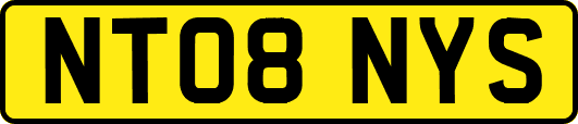 NT08NYS