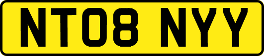 NT08NYY