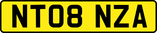 NT08NZA