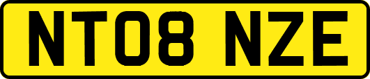 NT08NZE