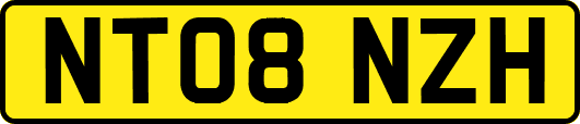 NT08NZH