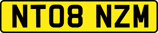 NT08NZM