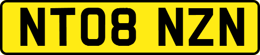 NT08NZN