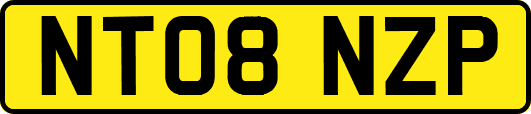 NT08NZP