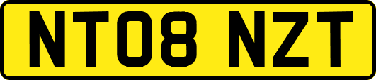 NT08NZT