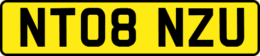 NT08NZU