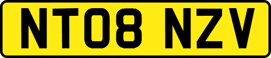 NT08NZV