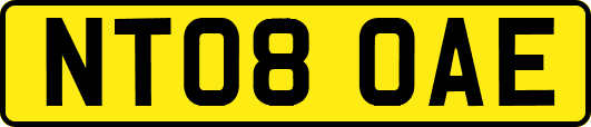NT08OAE