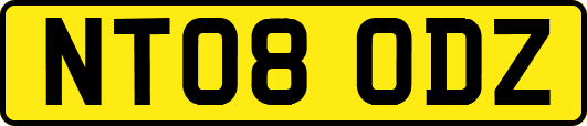 NT08ODZ