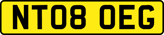 NT08OEG